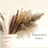 Natural Dried Flowers Pampas Floral - Home Decoration