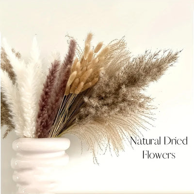 Natural Dried Flowers Pampas Floral - Home Decoration