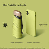 umbrella