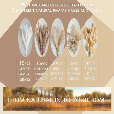 Natural Dried Flowers Pampas Floral - Home Decoration