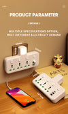 Universal  Plug AC Wall Outlet  Socket with USB Charger