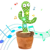 Talking Cactus Toy