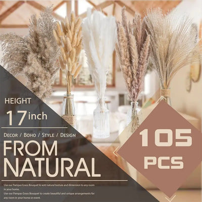 Natural Dried Flowers Pampas Floral - Home Decoration