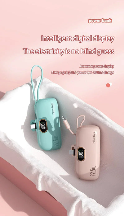 Xiaomi Mini Power Bank 30000mah