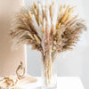 Natural Dried Flowers Pampas Floral - Home Decoration