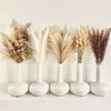 Natural Dried Flowers Pampas Floral - Home Decoration