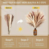 Natural Dried Flowers Pampas Floral - Home Decoration