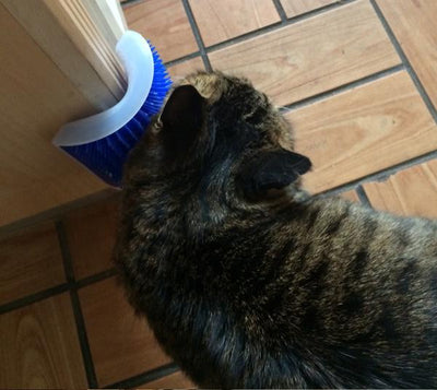 Cat and Dog Self Hair Brush Comb