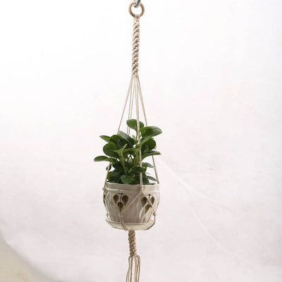 Handmade macrame flower/ plant pot hanger