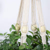 Handmade macrame flower/ plant pot hanger