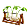 Terrarium Creative Hydroponic Plant Transparent Wooden Frame Vase