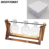 Terrarium Creative Hydroponic Plant Transparent Wooden Frame Vase