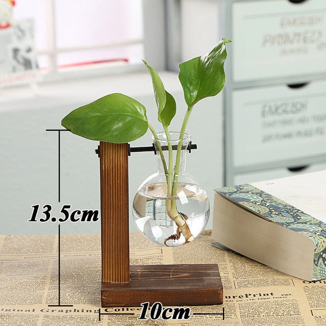 Terrarium Creative Hydroponic Plant Transparent Wooden Frame Vase