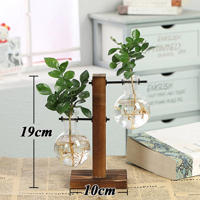 Terrarium Creative Hydroponic Plant Transparent Wooden Frame Vase