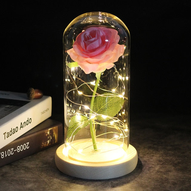 Enchanted Rose Flower Lights
